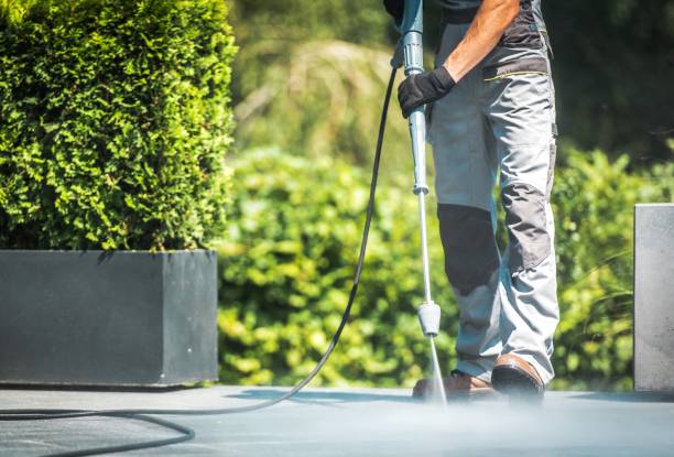 Best Soft Washing for Delicate Surfaces in Iraan, TX
