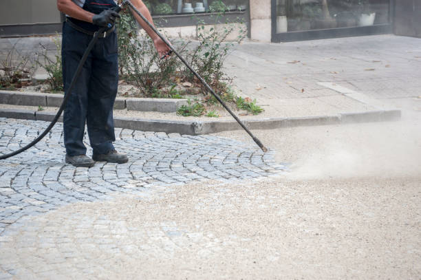 Best Fence Cleaning and Maintenance in Iraan, TX