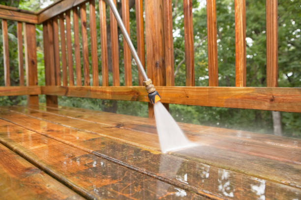 Best Roof Cleaning and Mildew Removal in Iraan, TX